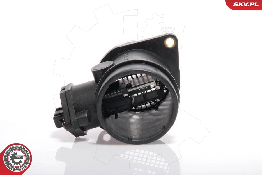 Mass Air Flow Sensor